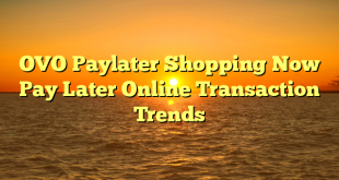 OVO Paylater Shopping Now Pay Later Online Transaction Trends